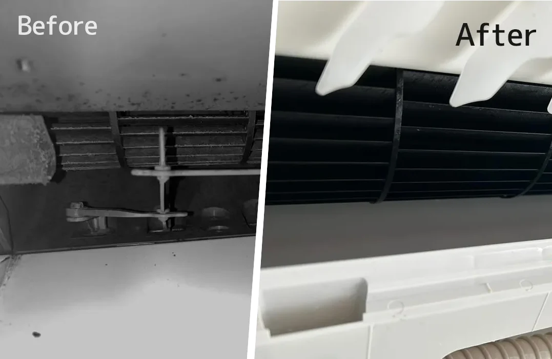 福岡県大牟田市を拠点にする、あなたのまちの執事屋さん